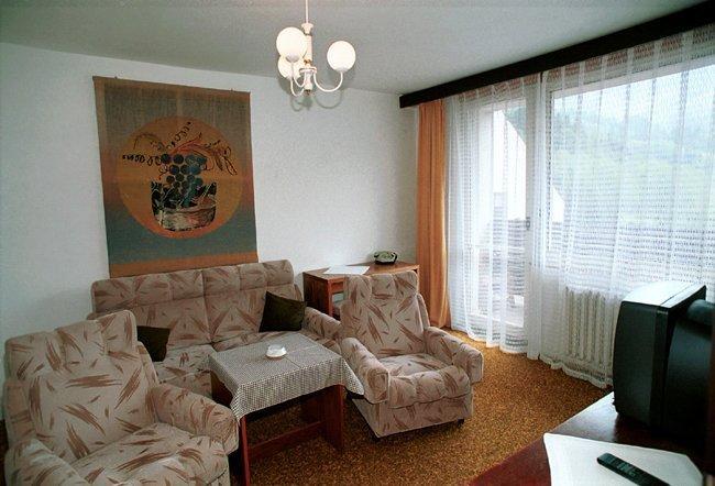Hotel Petr Bezruc Frýdlant nad Ostravicí Δωμάτιο φωτογραφία