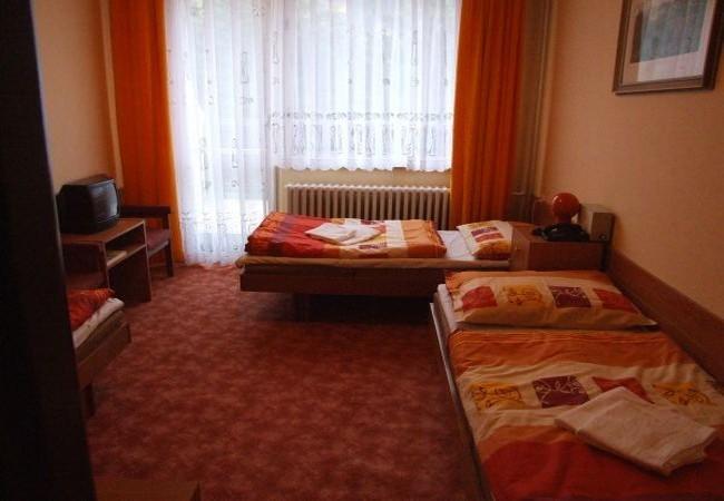 Hotel Petr Bezruc Frýdlant nad Ostravicí Δωμάτιο φωτογραφία